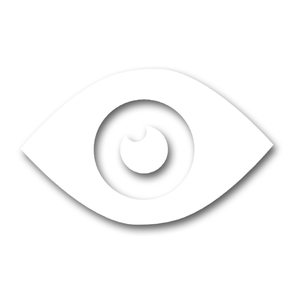Potrete monitorare l’intero processo del trattamento dei dati